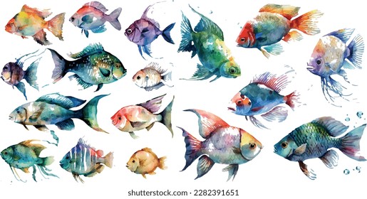 Watercolor fish. Fresh organic seafood. Nature drawing - Vector illustration.