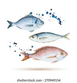 Watercolor Fish. Fresh Organic Seafood. Vector Illustration.