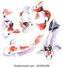 Watercolor fish set, vector