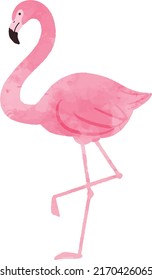 Watercolor Flamingo Illustration, Pink, Bird