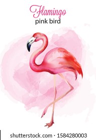 Watercolor flamingo pink bird portrait. Vector