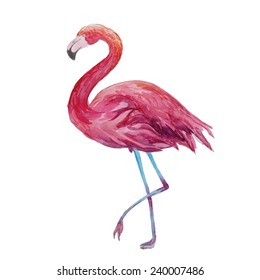 Watercolor flamingo. Vector hand drawn artistic illustration