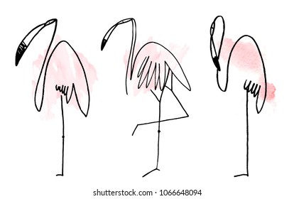 Watercolor flamingos. Hand drawn illustration. Line drawing. Line art. vector flamingo isolated on a white background.