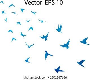 Watercolor flock of flying birds. Transparent background.
