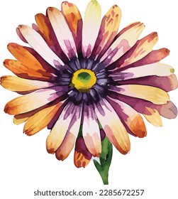 Watercolor floral arrangements with beautiful African Daisy flower, Watercolor floral bouquet