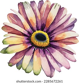 Watercolor floral arrangements with beautiful African Daisy flower, Watercolor floral bouquet