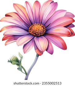 Watercolor floral arrangements with beautiful African Daisy flower, Watercolor floral bouquet