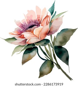 Watercolor floral arrangements with beautiful flowers, Watercolor vintage floral bouquet
