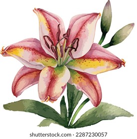 Watercolor floral arrangements with beautiful flowers, Watercolor vintage floral bouquet
