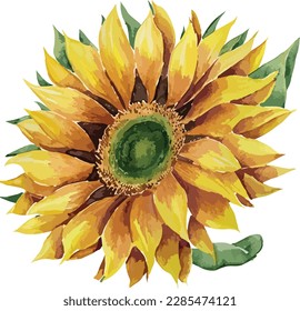 Watercolor floral arrangements with beautiful sunflowers, Watercolor sunflowers floral bouquet