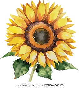 Watercolor floral arrangements with beautiful sunflowers, Watercolor sunflowers floral bouquet