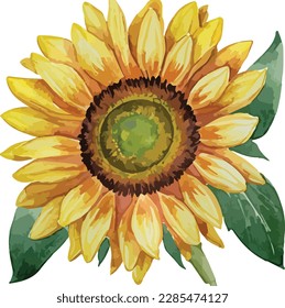 Watercolor floral arrangements with beautiful sunflowers, Watercolor sunflowers floral bouquet