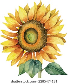 Watercolor floral arrangements with beautiful sunflowers, Watercolor sunflowers floral bouquet