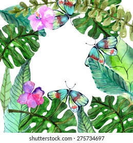 Watercolor Floral background with Tropical orchid flowers, leaves and butterflies for beautiful natural design, Vector