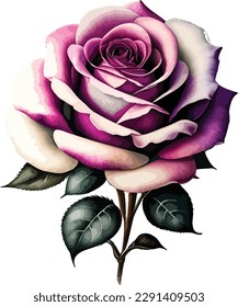 Watercolor floral bouquet isolated on white background, Watercolor rose