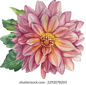 Watercolor floral bouquet isolated on white background, Watercolor flower collection
