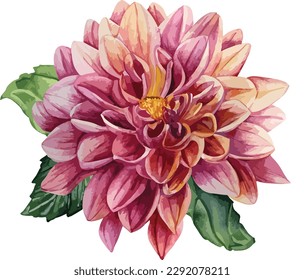 Watercolor floral bouquet isolated on white background, Watercolor flower collection
