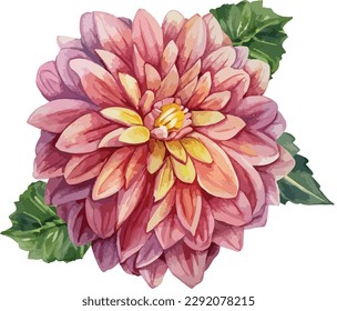 Watercolor floral bouquet isolated on white background, Watercolor flower collection
