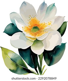 Watercolor floral bouquet isolated on white background, Watercolor flower collection

