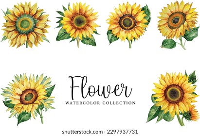 Watercolor floral bouquet isolated on white background, Watercolor sunflower collection
