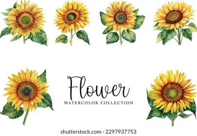 Watercolor floral bouquet isolated on white background, Watercolor sunflower collection
