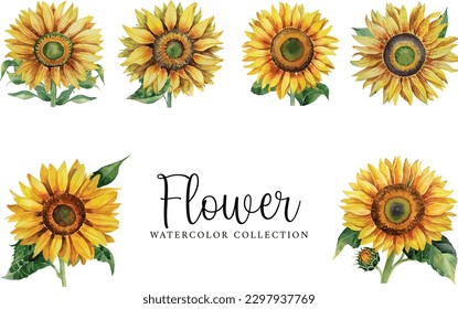 Watercolor floral bouquet isolated on white background, Watercolor sunflower collection
