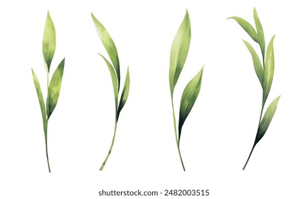 Watercolor floral collection. Illustration set with green wild leaves. Botanic illustration isolated on white background for wedding, greetings, wallpapers, fashion, backgrounds, wrappers, print