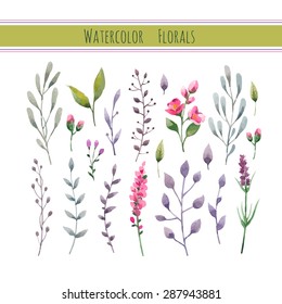 Watercolor floral collection with leaves and flowers. Wedding, romantic collection.Spring or summer design for invitation, wedding or greeting cards. Vector illustration