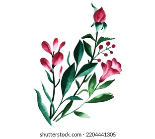 Watercolor floral composition. Romantic set of hand drawn plants, berries and flowers for design. Vector background for invitation, wedding and greeting cards.