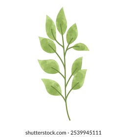 Watercolor floral element. Floral element design asset