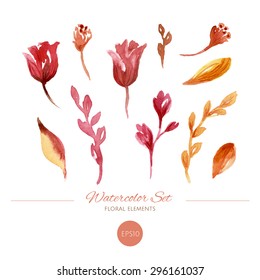 Watercolor floral elements set. Autumn leaves and flowers. Hand drawn illustration. 