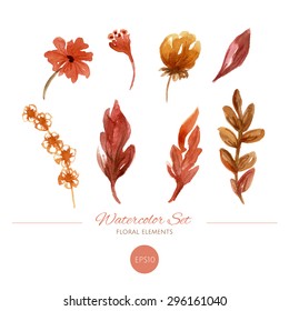 Watercolor floral elements set. Autumn leaves and flowers. Hand drawn illustration. 