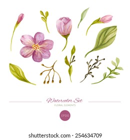 Conjunto de elementos florales de color de agua. Ilustración dibujada a mano