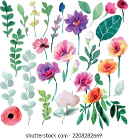 Watercolor floral elements. Set of roses, wild flowers and leaf branches.