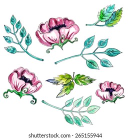 Watercolor floral elements, vector illustration