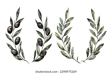 Watercolor floral illustration with olive branches wreath, vector