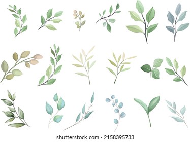 Decoración de ilustraciones florales de color de agua - colección de ramas de hojas verdes, para la papelería de boda, saludos, fondos de paredes, fondo de moda, hoja exótica. Botánico