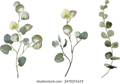 Watercolor floral illustration set - green leaf branches collection, for wedding stationary, greetings, wallpapers, fashion, background. Eucalyptus, olive, green leaves, etc.