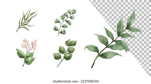 Watercolor floral illustration set. Greenery leaf branches collection for greetings, wallpaper, fashion, background. Leaves and Flowers watercolor style vector illustration