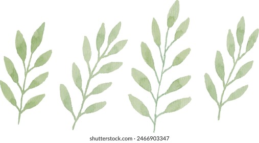 Watercolor floral leaf illustration set - green leaf branches collection for wedding stationary, greetings, wallpapers, fashion, background. Eucalyptus, olive, green leaves, etc	
