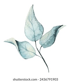 Watercolor floral light blue twig. Vector traced isolated brunch illustration on white background. 