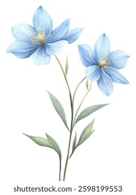 A watercolor floral painting featuring two delicate blue flowers with soft petals and green leaves. Perfect for botanical art prints invitations and elegant designs