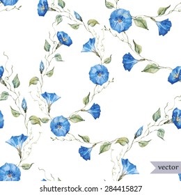 watercolor floral pattern, blue delicate flowers morning glory