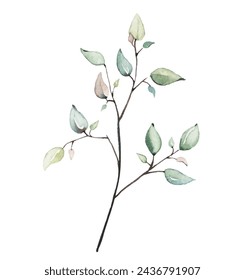 Watercolor floral pink and green twig. Vector traced isolated brunch illustration on white background. 