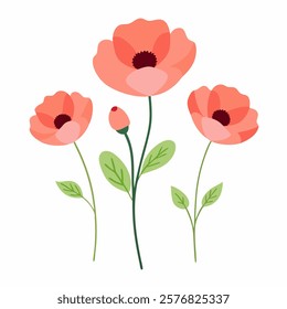 Watercolor floral with pink poppy flowers vector.