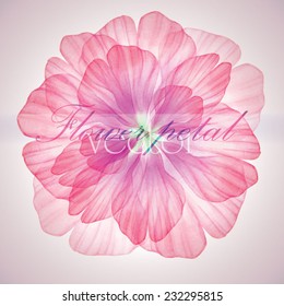 Watercolor floral round patterns. Vectorized watercolor drawing.  