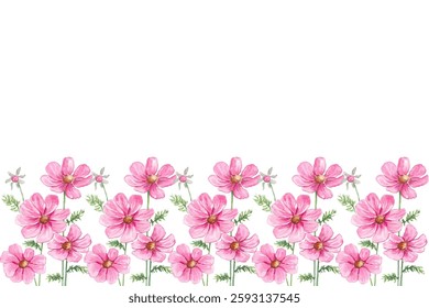 Watercolor floral seamless border frame on white background. colorful growing wild flowers, herbs, leaves and twigs.