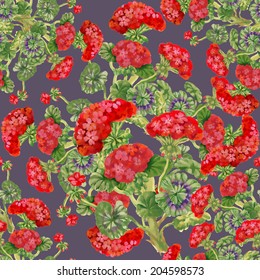 Watercolor floral seamless pattern with Pelargonium flowers on purple background, vector