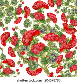 Watercolor floral seamless pattern with Pelargonium flowers on white background, vector