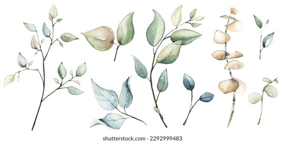 Watercolor floral set of dried eucalyptus, leaves, branches, twigs etc. Vector traced illustration isolated. 